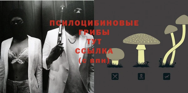 гидропоника Алексеевка