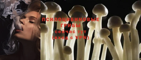 гидропоника Алексеевка