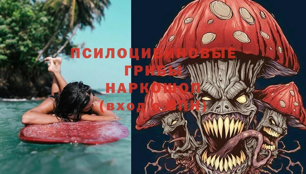 гидропоника Алексеевка