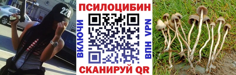 Галлюциногенные грибы Magic Shrooms kraken зеркало Нюрба